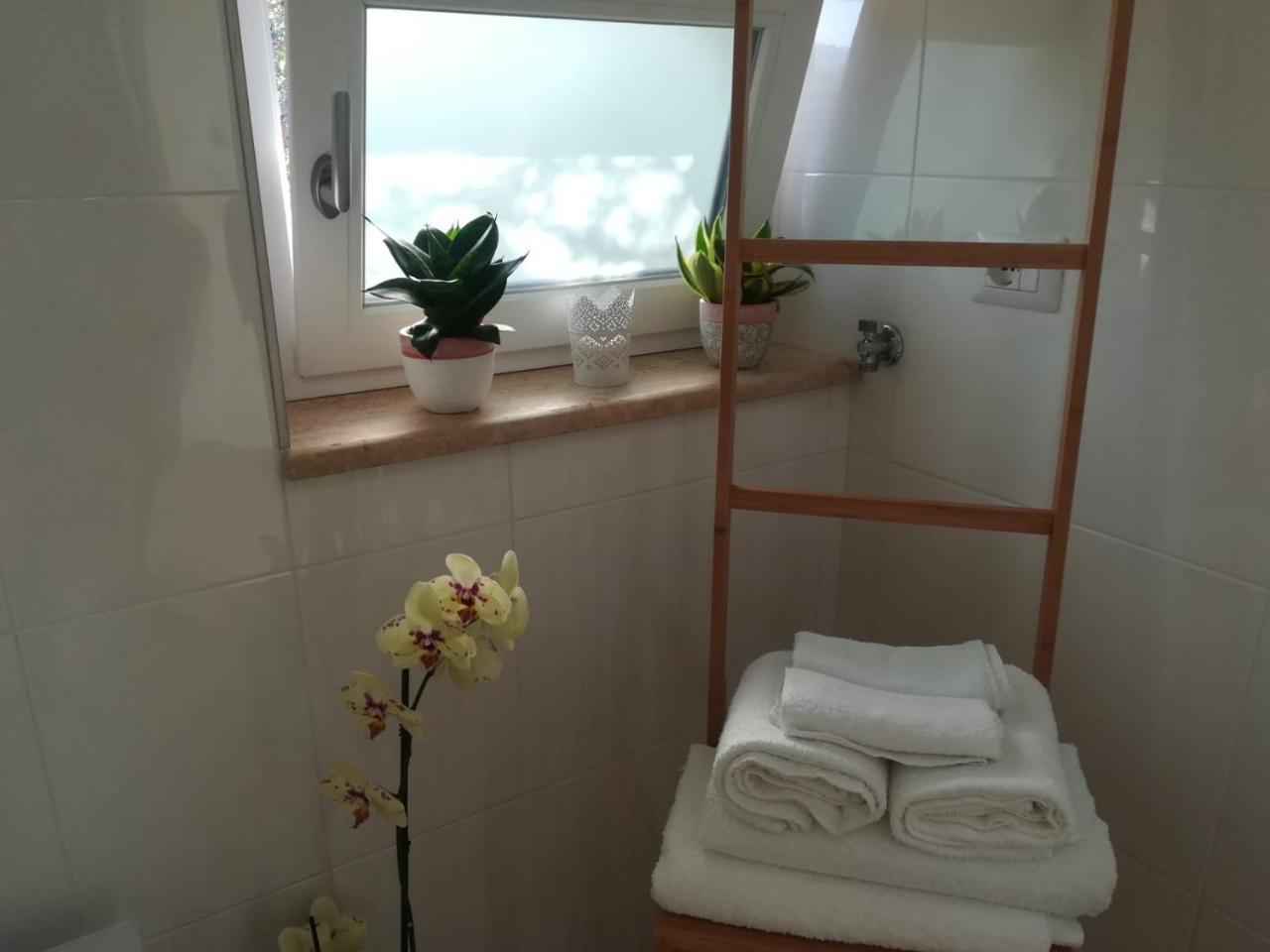 سانتا ماريا دي كاستيلاباتي B&B Il Sogno المظهر الخارجي الصورة