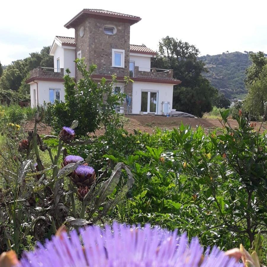 سانتا ماريا دي كاستيلاباتي B&B Il Sogno المظهر الخارجي الصورة