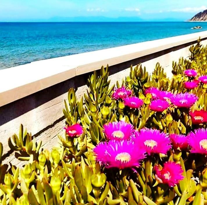 سانتا ماريا دي كاستيلاباتي B&B Il Sogno المظهر الخارجي الصورة