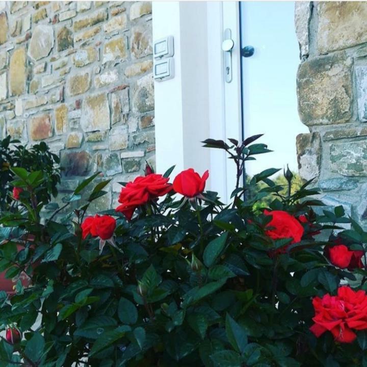سانتا ماريا دي كاستيلاباتي B&B Il Sogno المظهر الخارجي الصورة